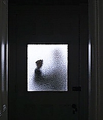 233.jpg